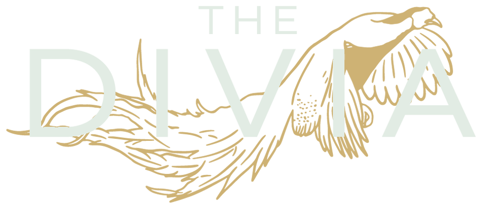 The Divia