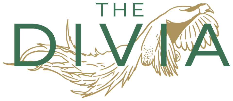 The Divia